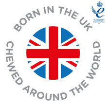 Laden Sie das Bild in den Galerie-Viewer, Neckerchew Chewy & Co Beißlätzchen