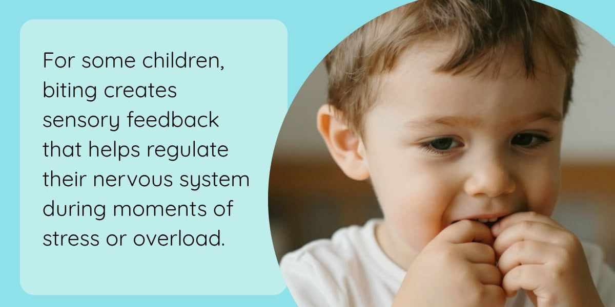My Child Bites Themselves When Overwhelmed